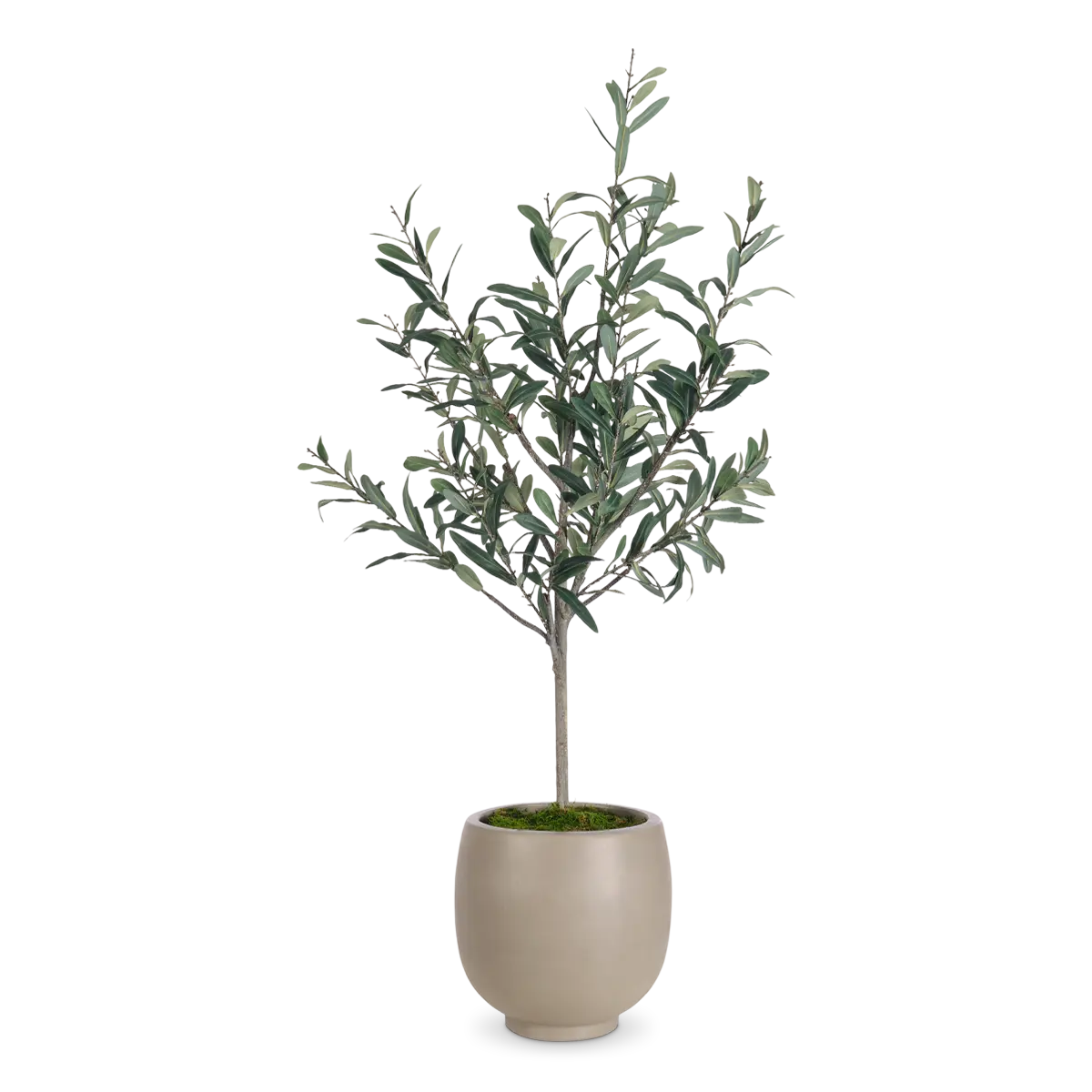 Olive tree faux arrangement